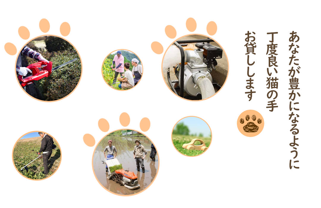 ねこざえもんトップバナー